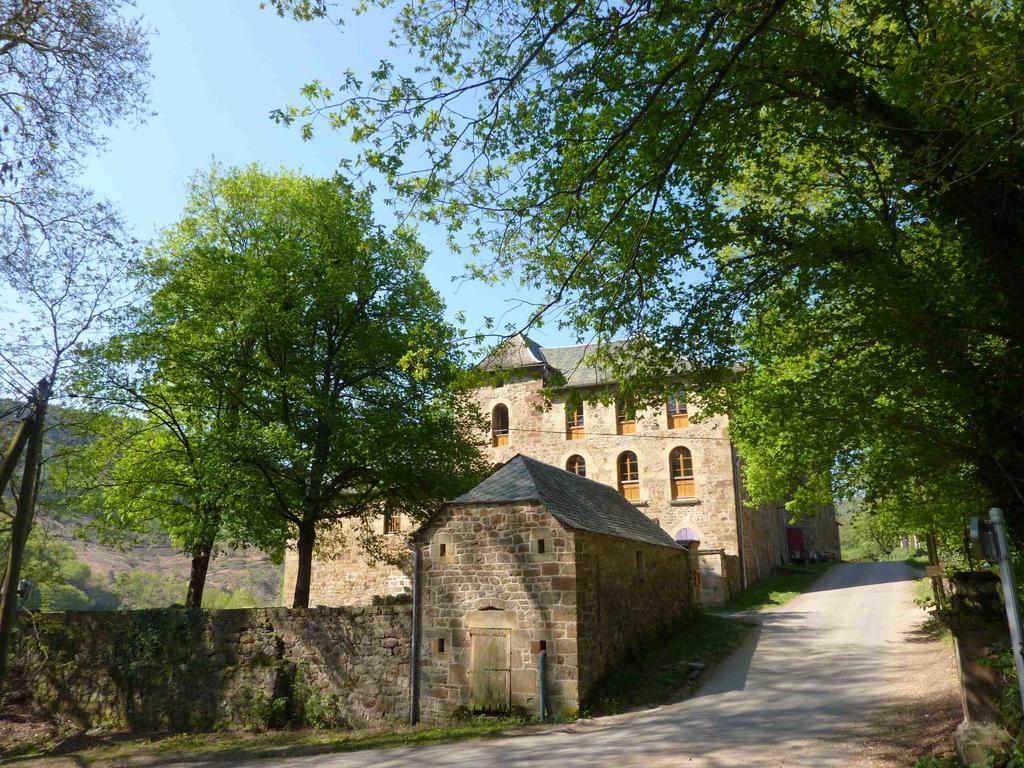 Chateau De Salelles Banassac Eksteriør bilde