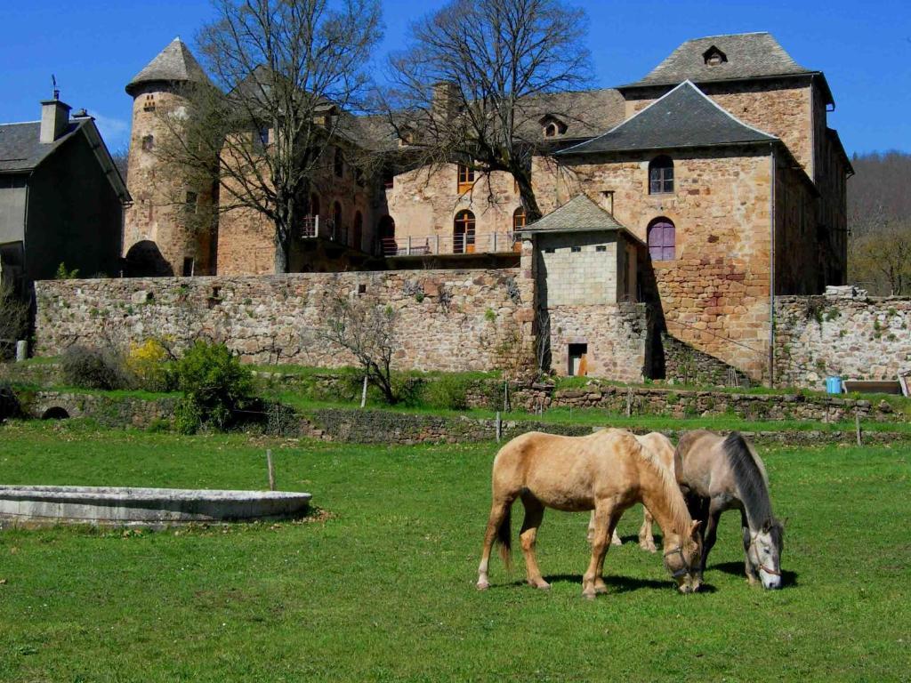 Chateau De Salelles Banassac Eksteriør bilde